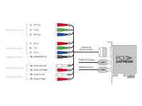 Intensity Pro